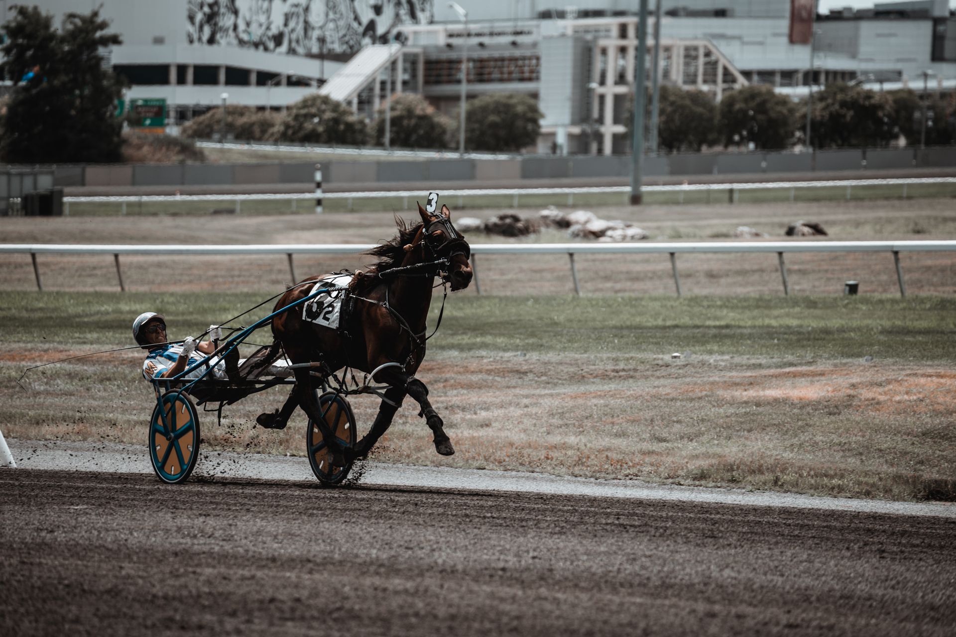 Jockey and horse.