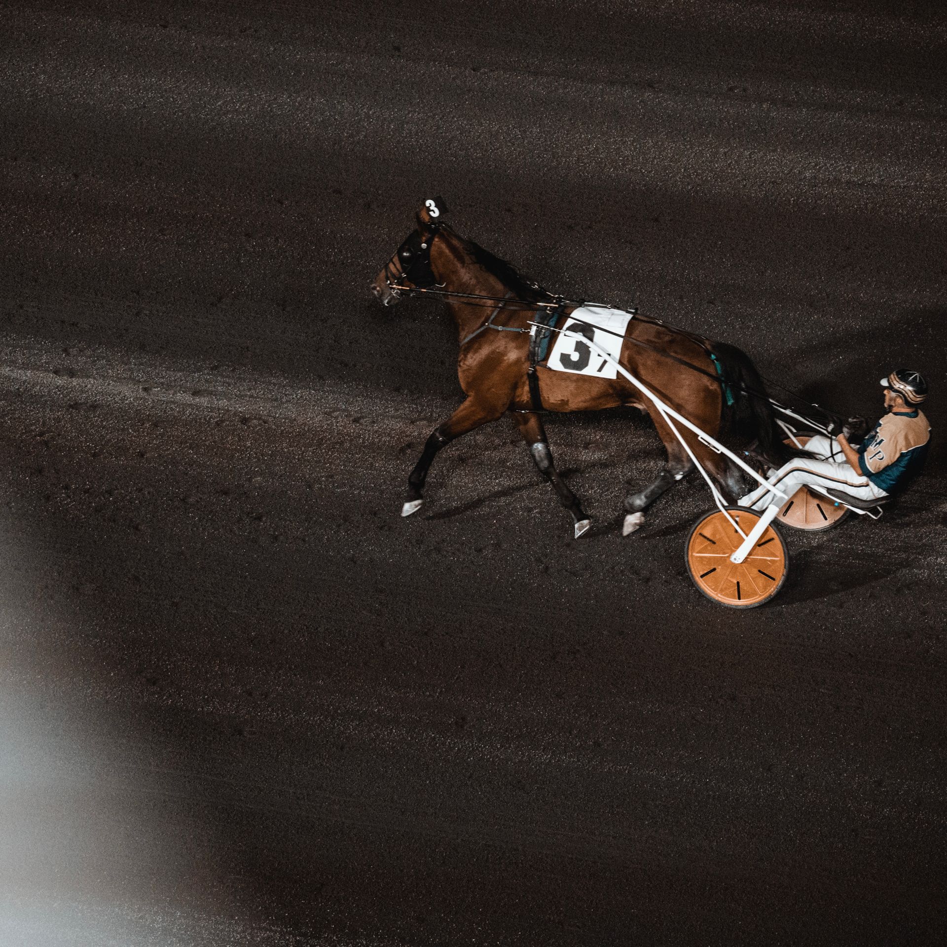 Horse and jockey.