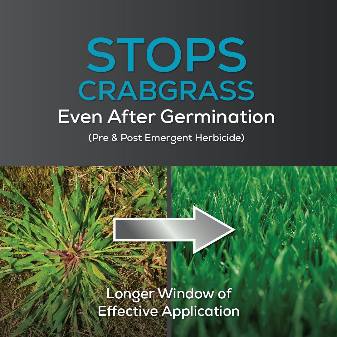 stops crabgrass even after germination (pre and post emergent herbicide) longer window of effective application