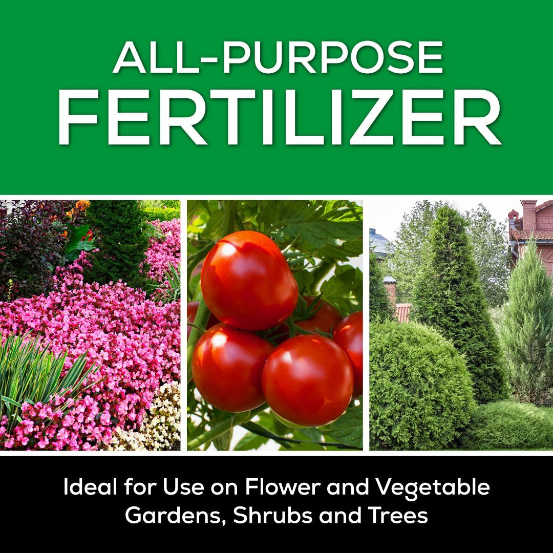 All purpose fertilizer ideal for use on flower and vegetable gardens , shrubs and trees