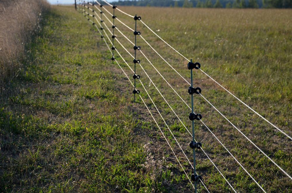 A electric fence is surrounding a grassy field.