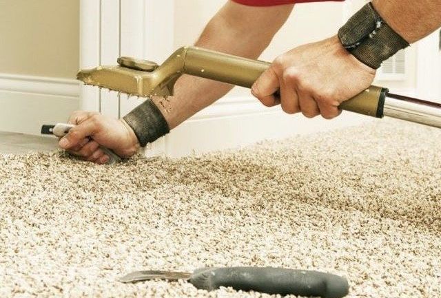 Skilled technician performing carpet restretching, using tools to adjust and tighten the carpet for a smooth and wrinkle-free finish.