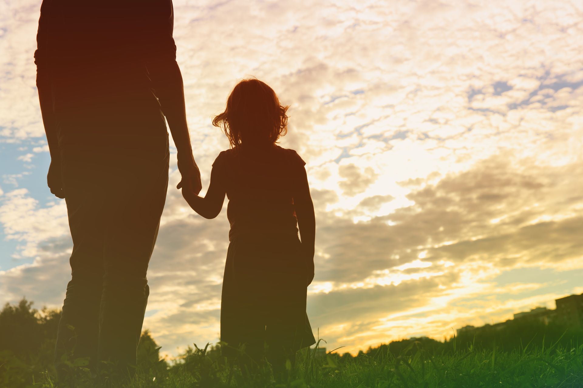 A man and a child are holding hands in a field at sunset.