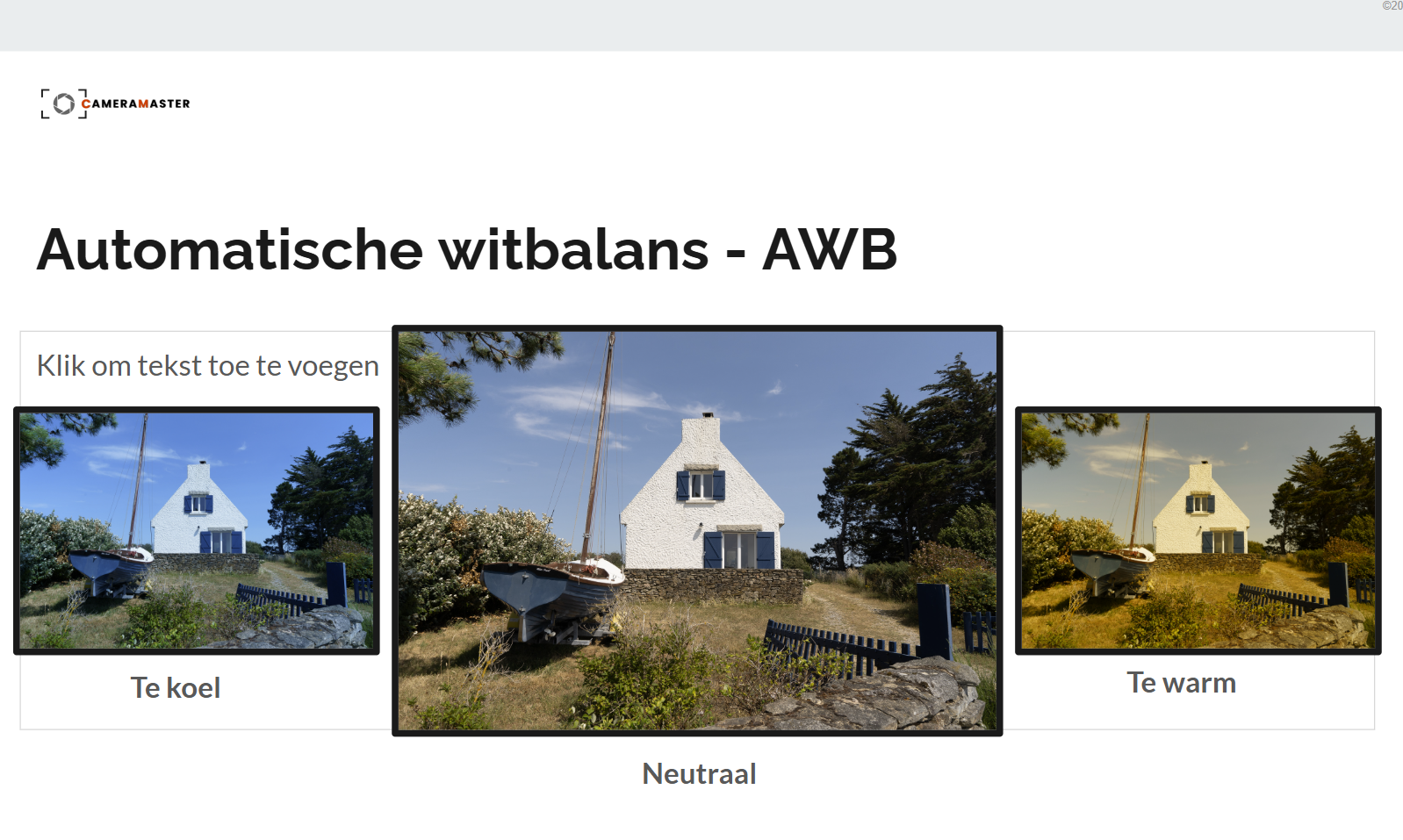 Cursus Sony RX10 IV in 20 lessen