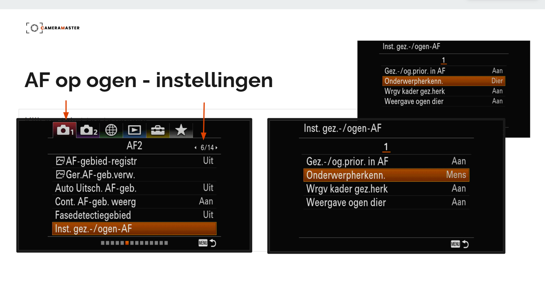 Menu-instructies Sony RX 10-IV cursus in 20 lessen