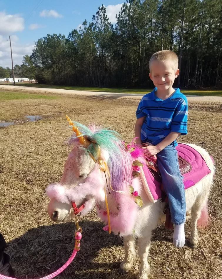 A young boy is riding a pony dressed as a unicorn.