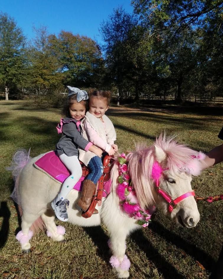 Two little girls are riding on the back of a pony.