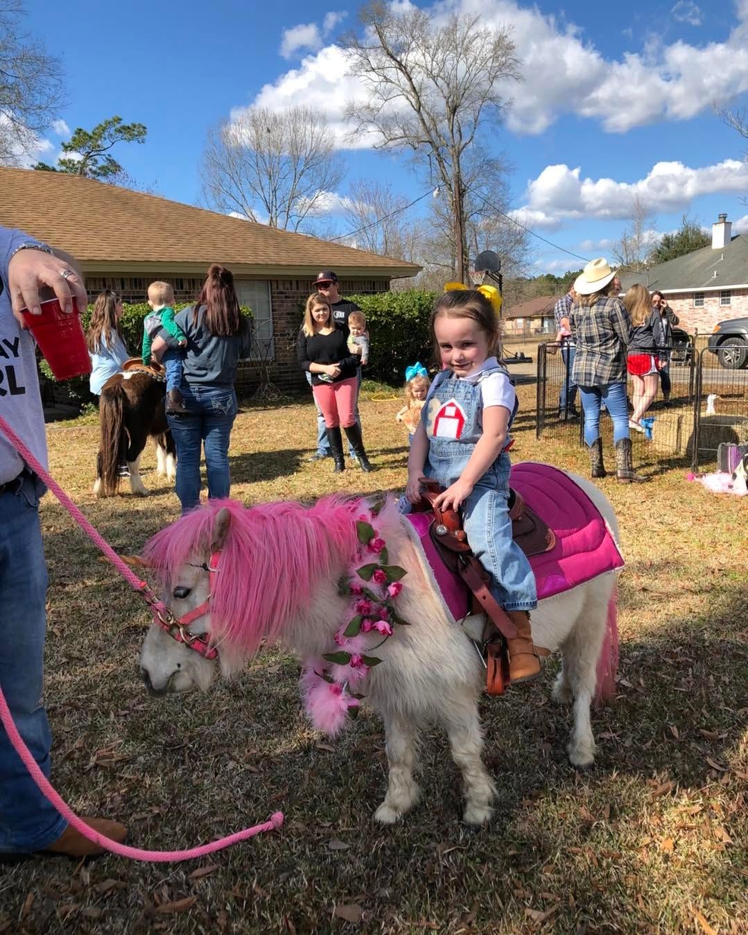A little girl is riding on the back of a pink pony