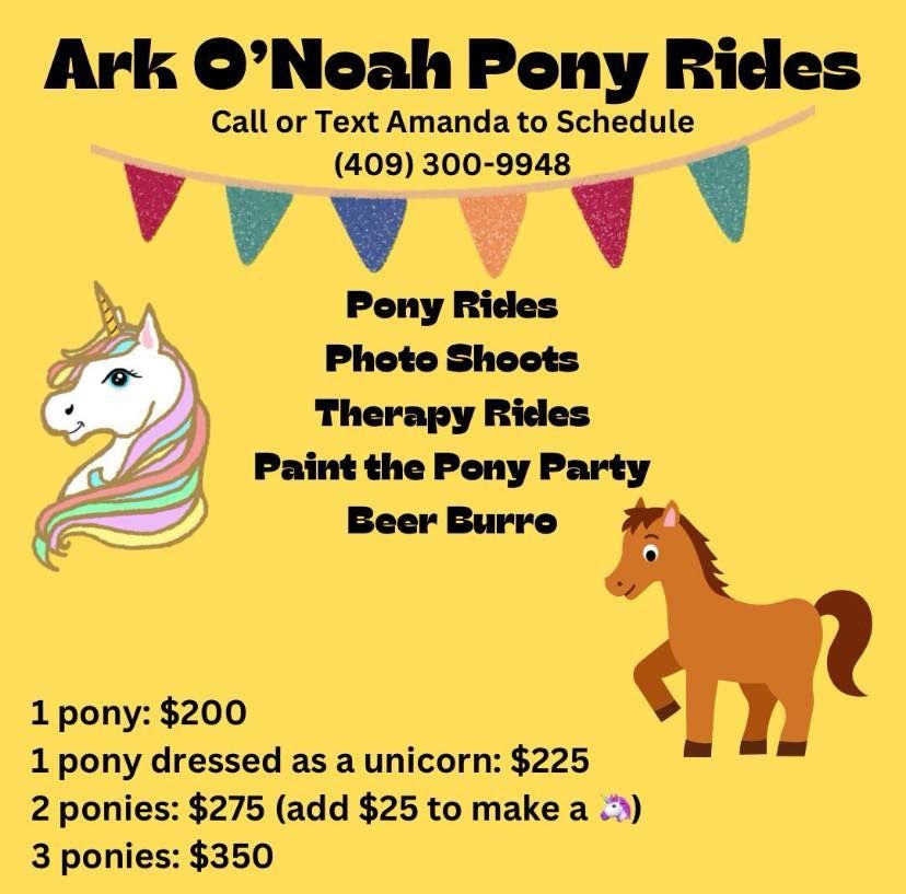 An advertisement for ark o ' noah pony rides