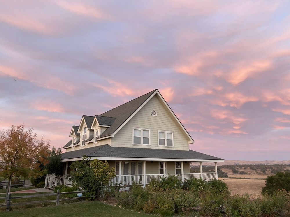Vineyard with rows of grapevines, white house and tree under cloudy sky.