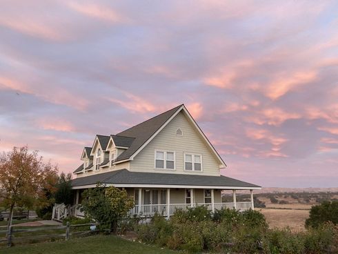 Vineyard with rows of grapevines, white house and tree under cloudy sky.