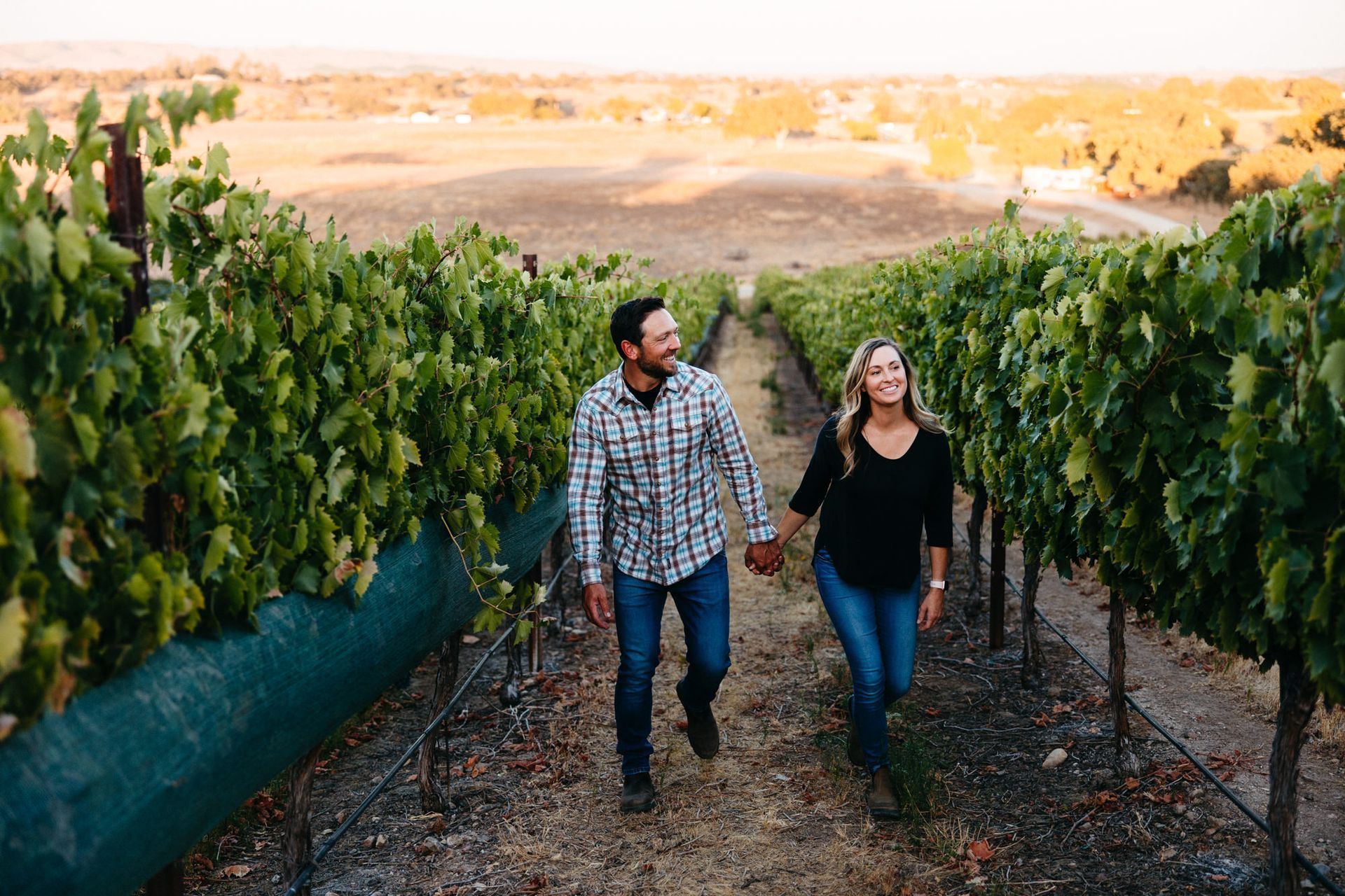 Couple holding hands, walking in a vineyard. Green vines line the path, leading to a distant field.