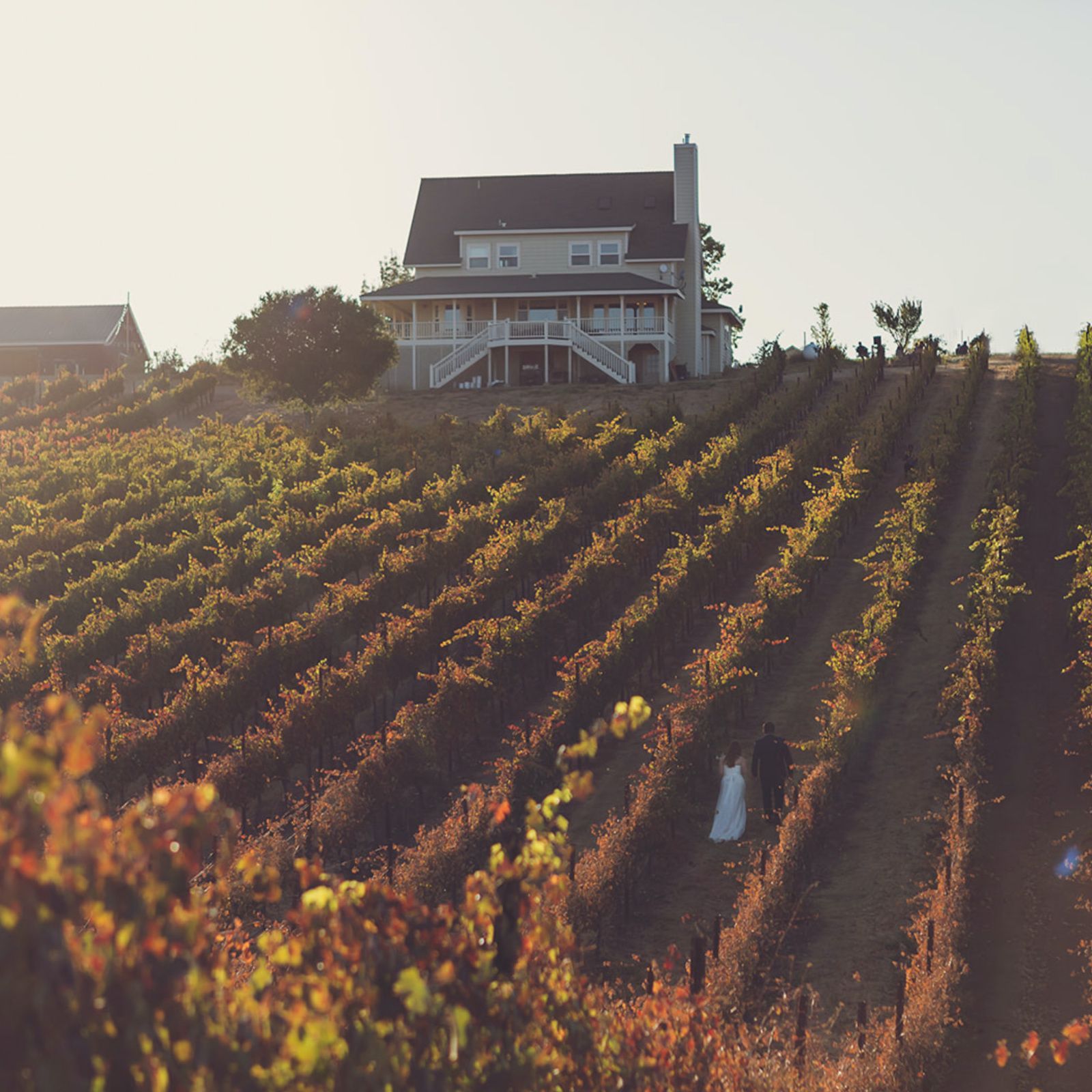Hilltop Baby Shower Venue in Paso Robles | Ella's Vineyard