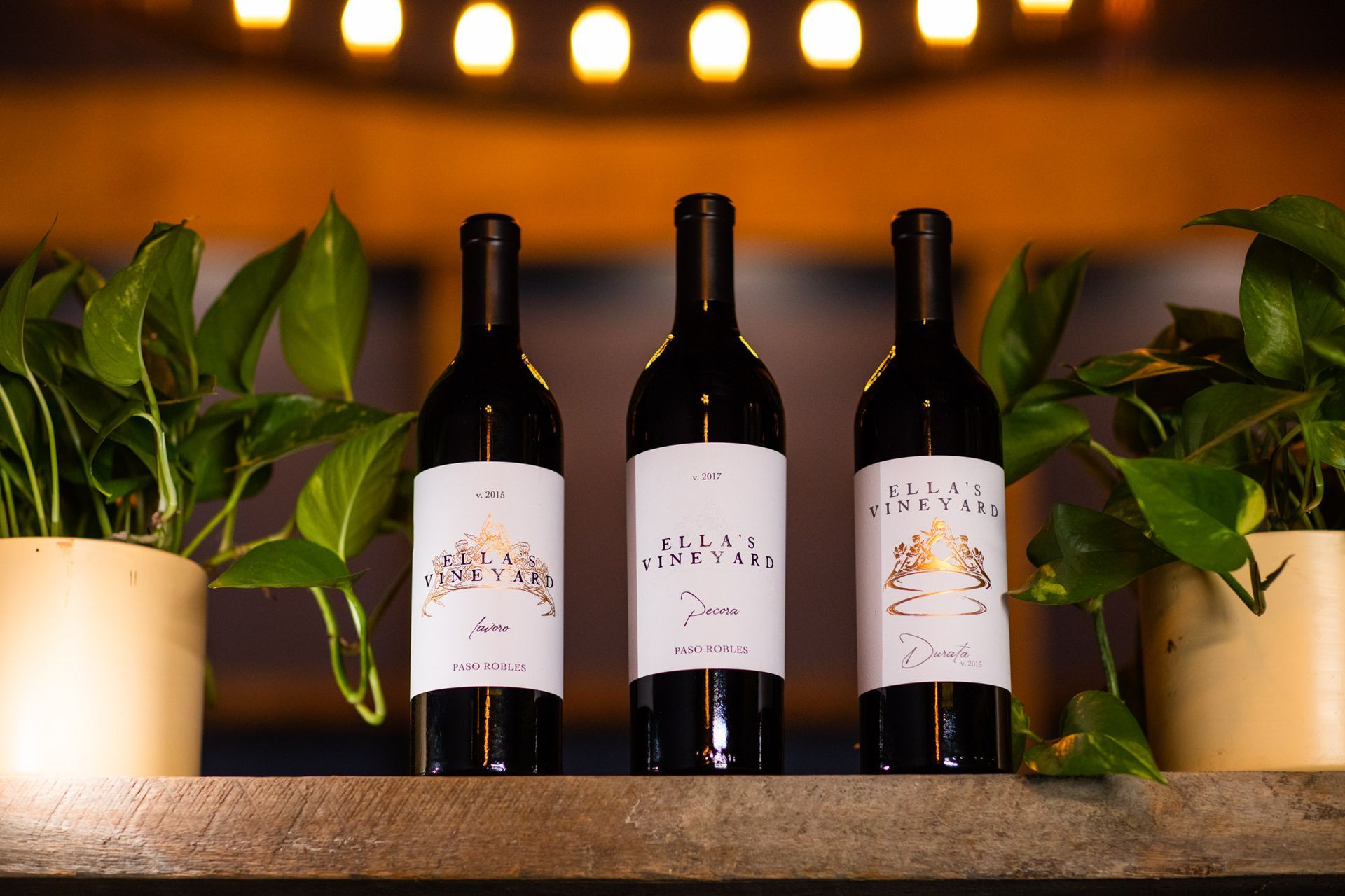 Three red wine bottles with white labels sit between green potted plants, under warm lights.