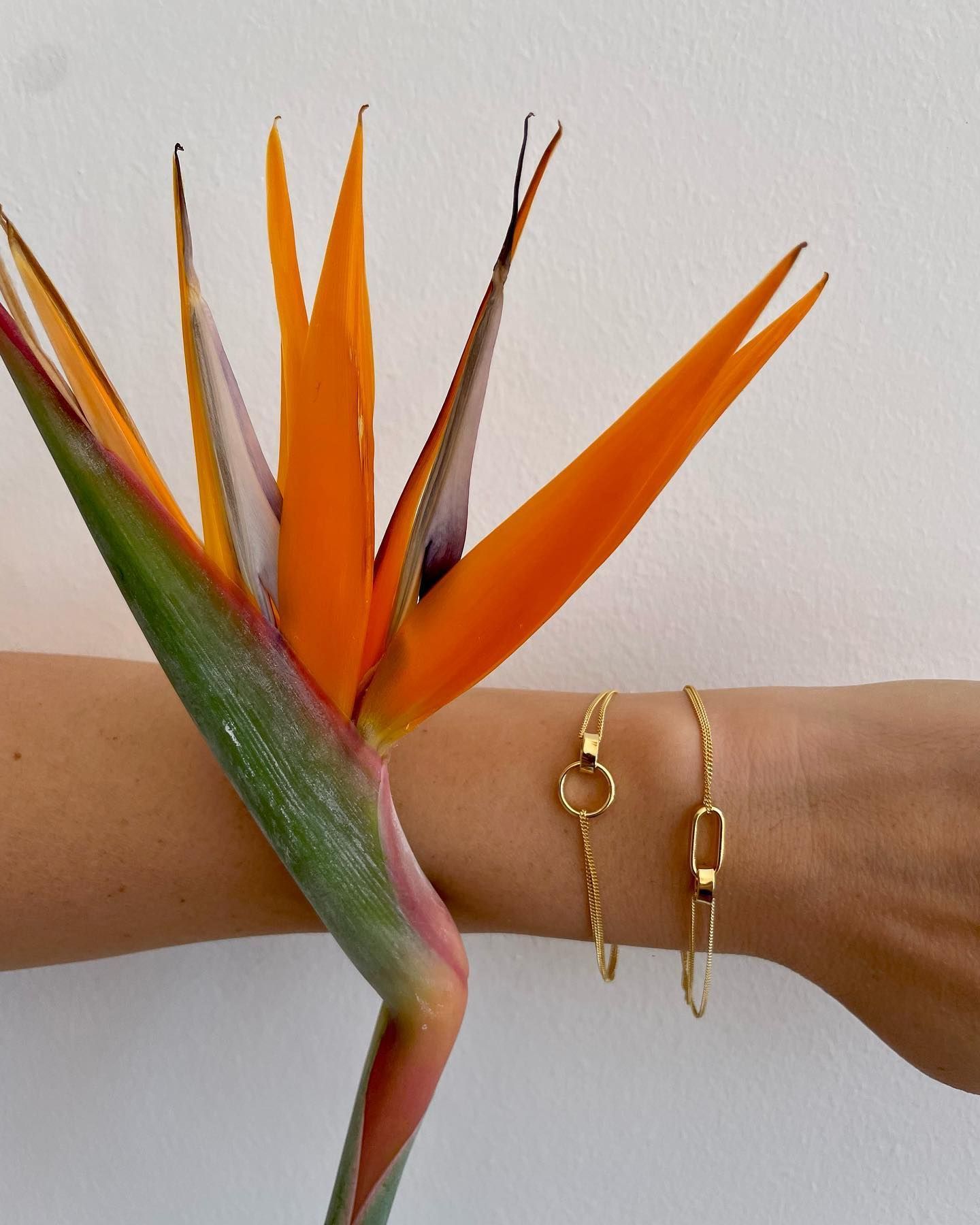 Un primo piano del polso di una persona con un fiore sullo sfondo