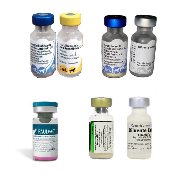 Frascos de vacunas con tapones y etiquetas de colores. Para uso veterinario.