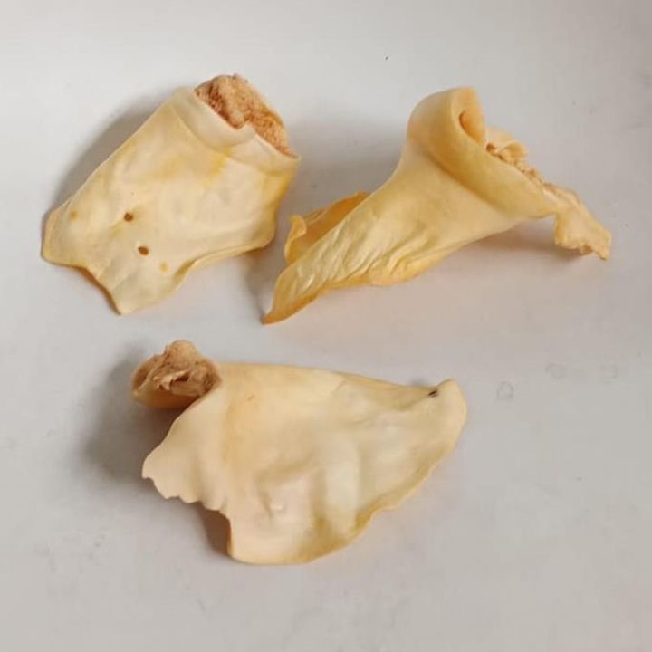 Tres orejas de perro secas sobre una superficie blanca.