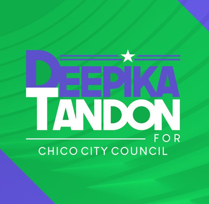 Deepika Tandon for City Council Website Banner