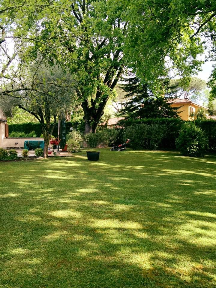 giardino esterno ben curato