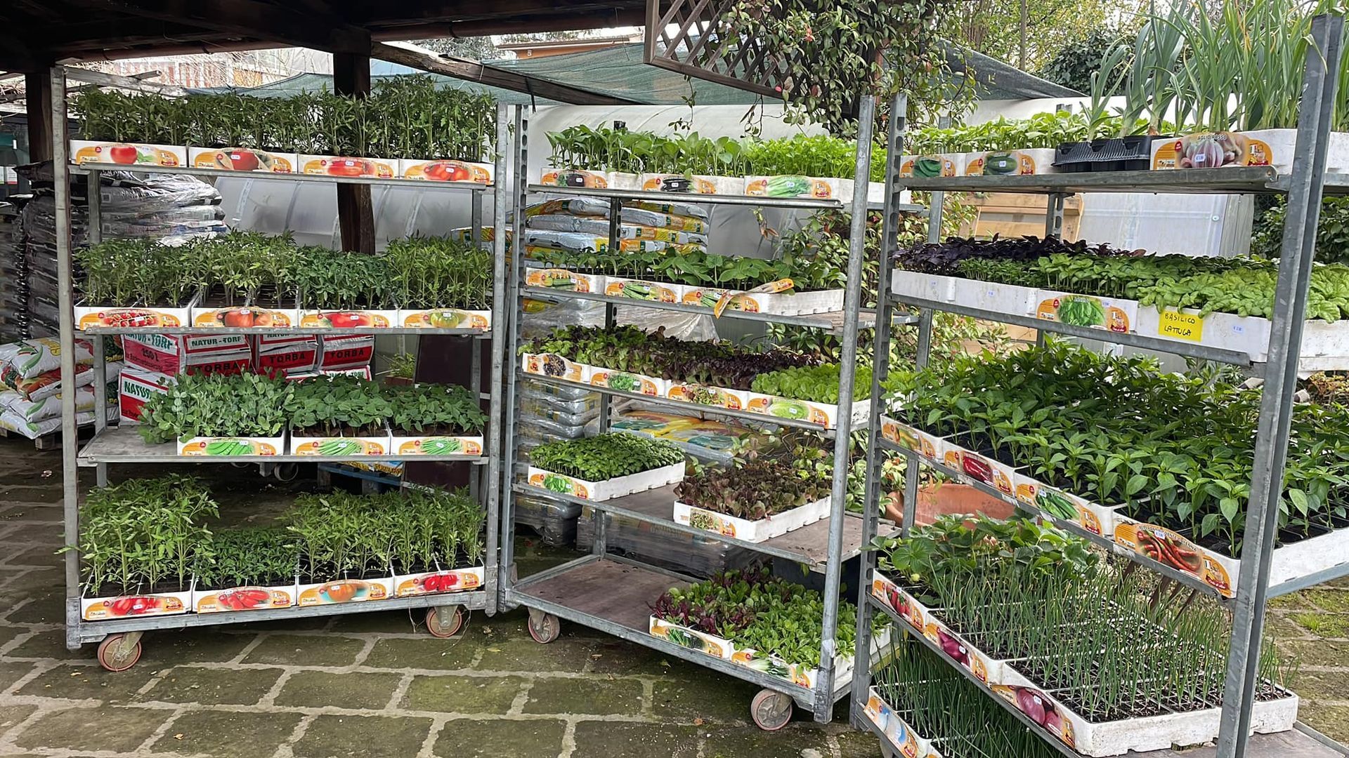 carrello con piantine