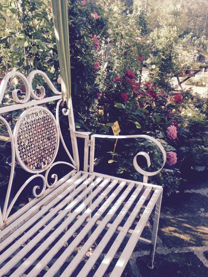 panca bianca in giardino