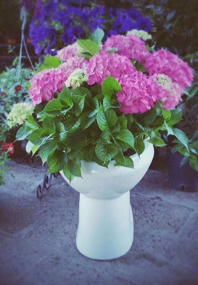 vaso con mazzo di fiori rosa