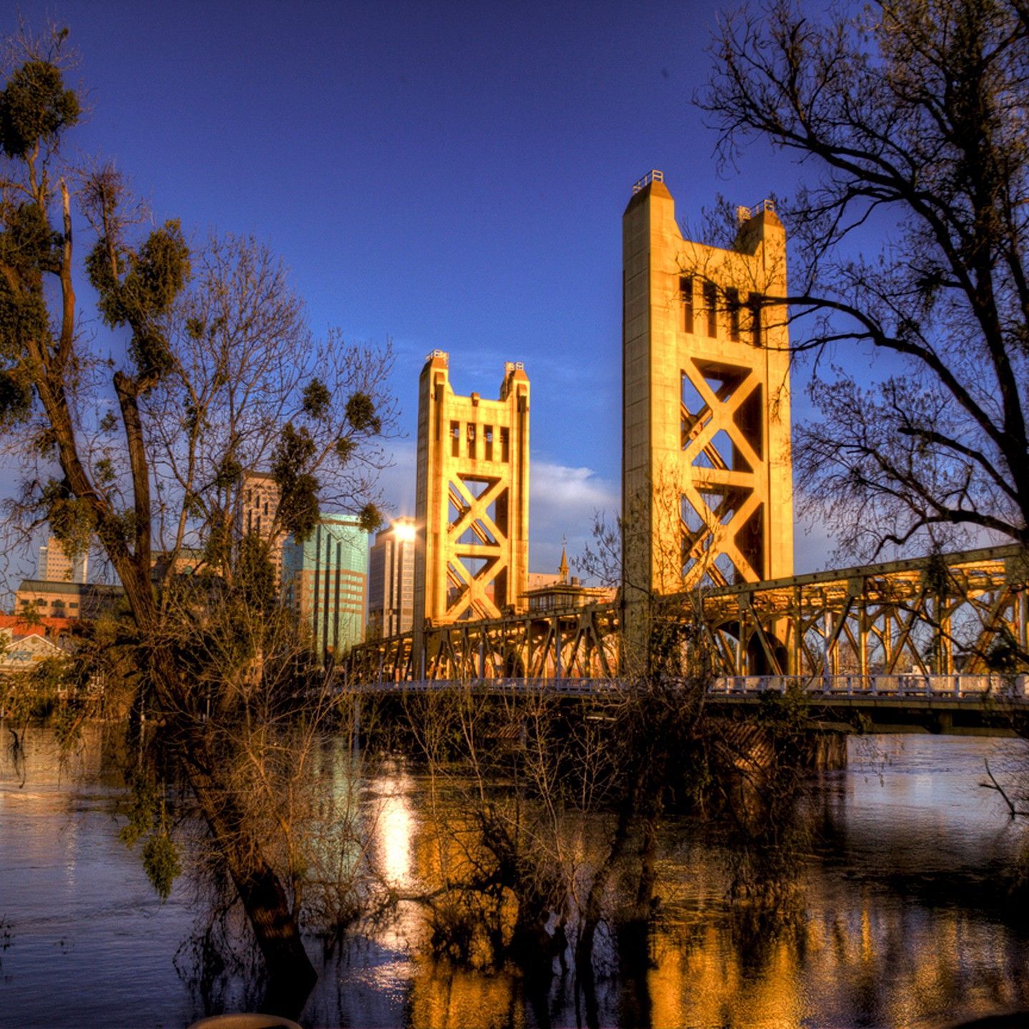 A bridge over a body of water with trees in the foreground