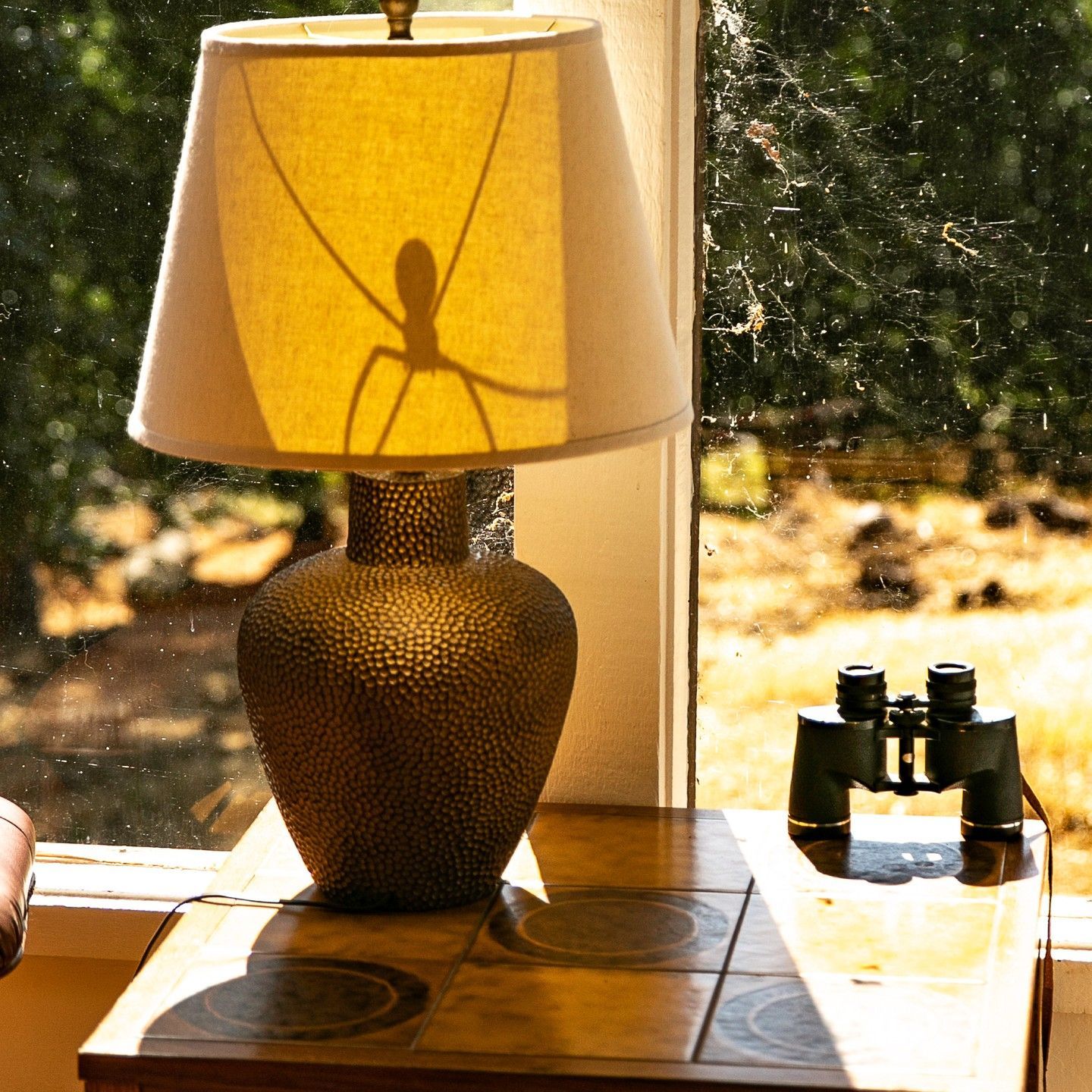 A lamp and binoculars sit on a table in front of a window