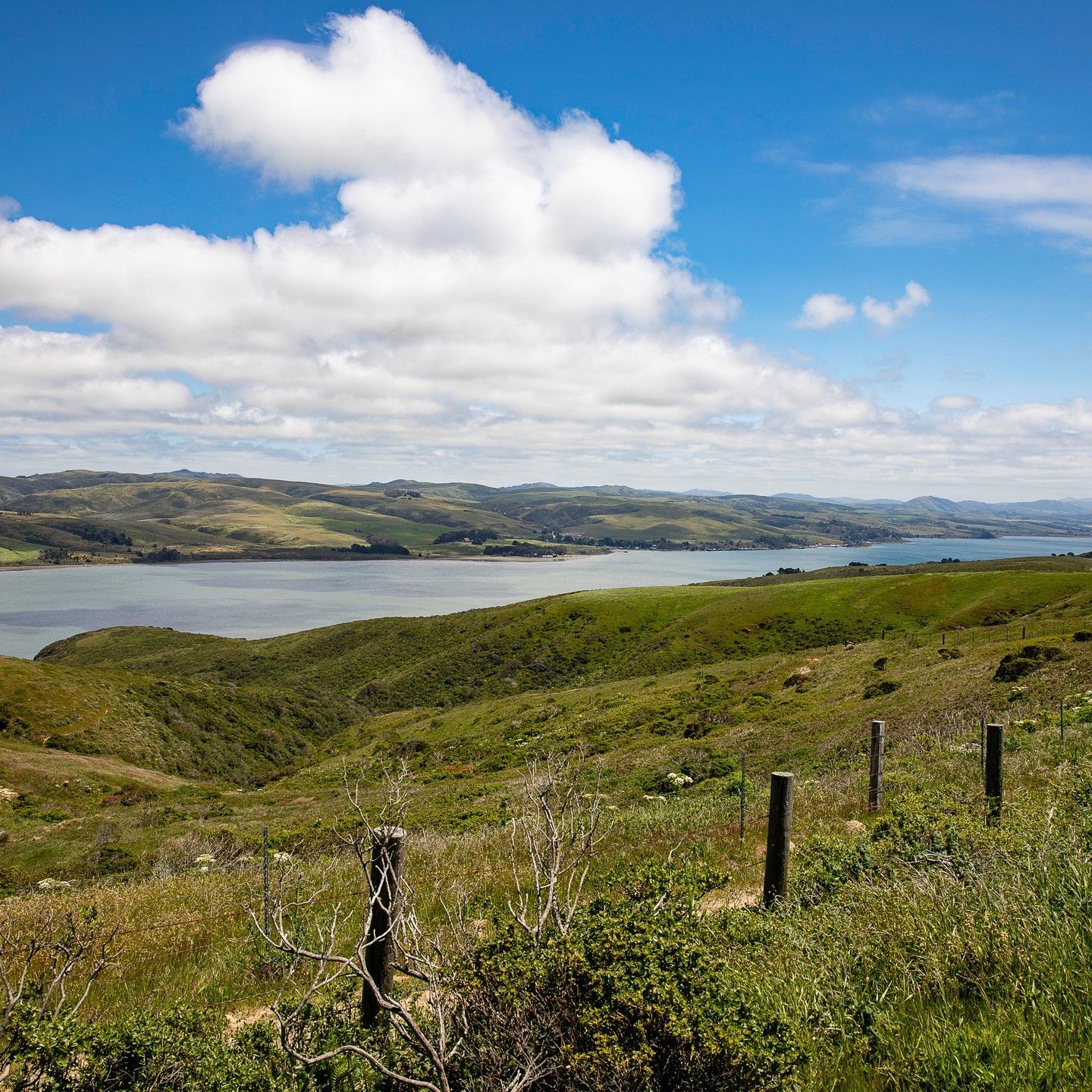 A view of a lake with a fence in the foreground