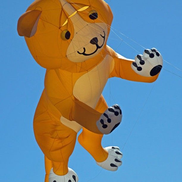 A teddy bear kite is flying in the blue sky