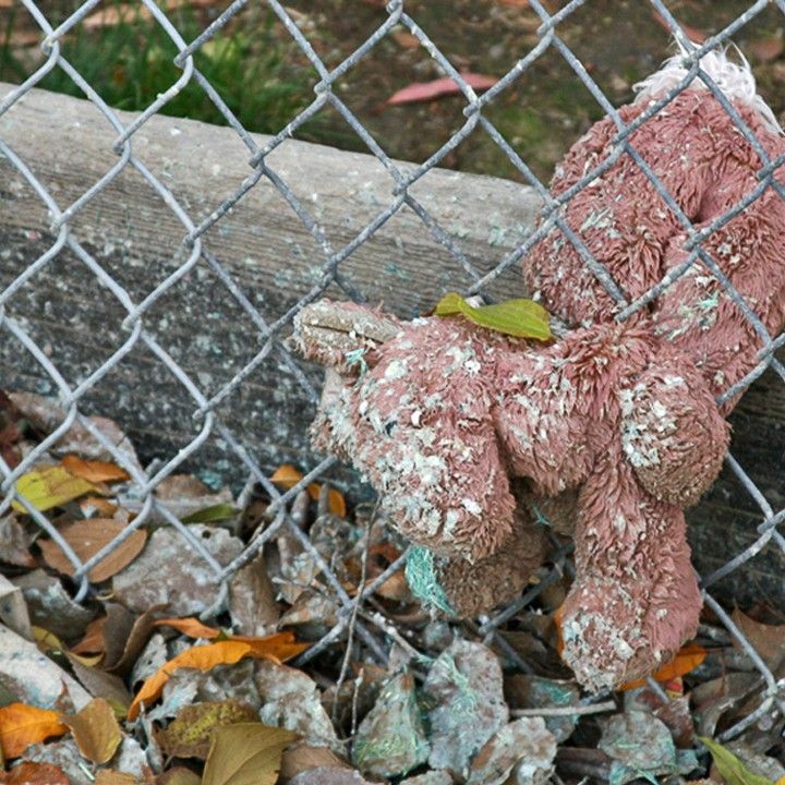 A teddy bear is behind a chain link fence