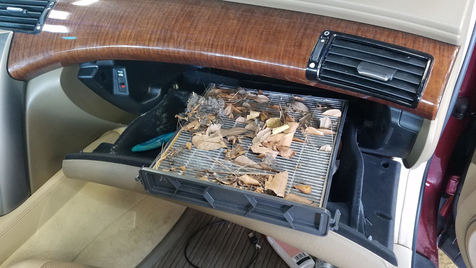 Grand Rapids Filter Replacement Pros