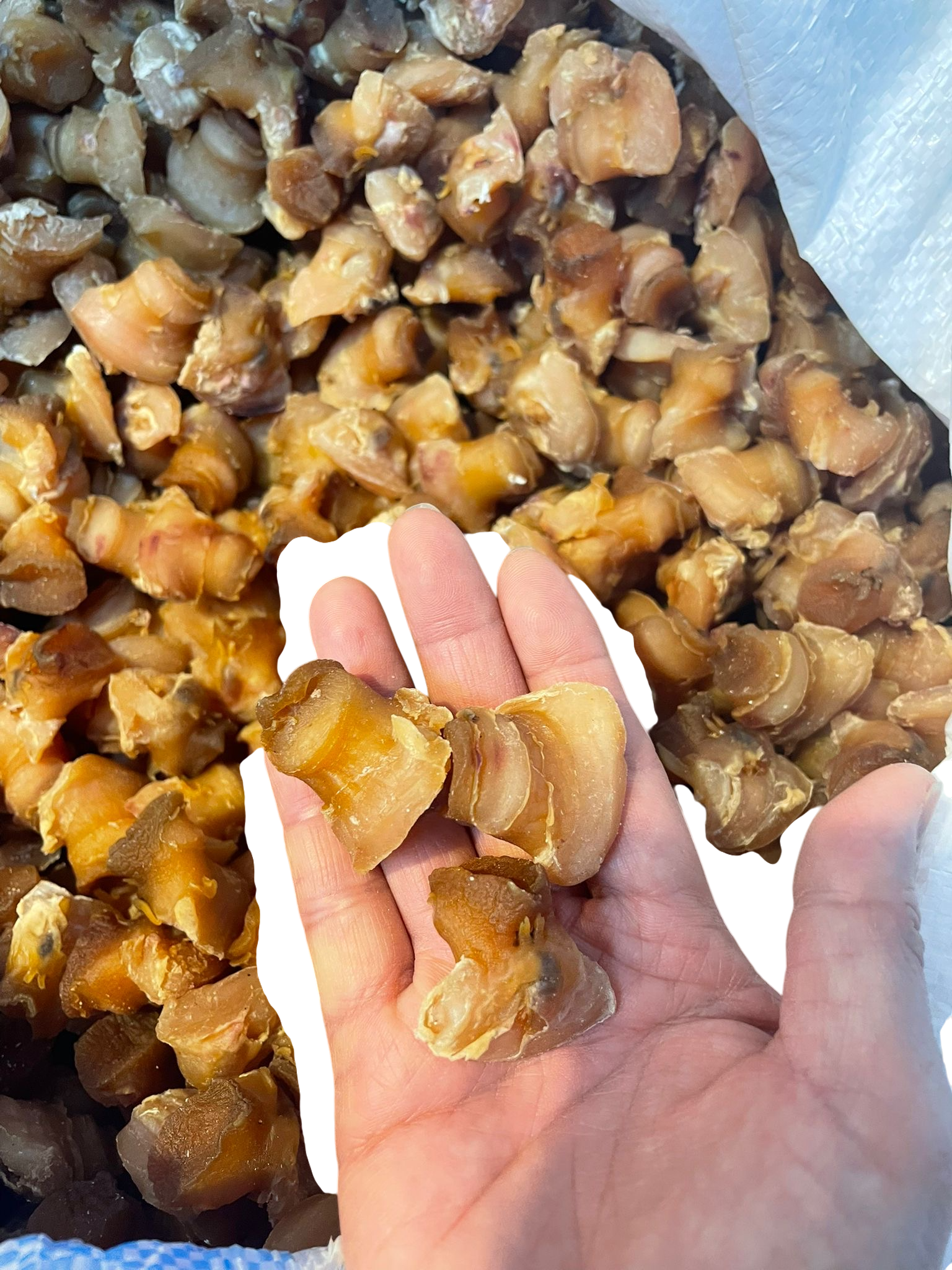 螺肉80粒(半斤/一斤)