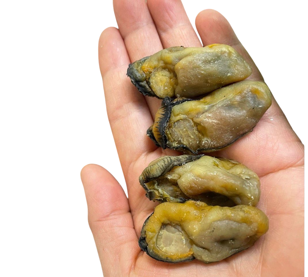 日本蠔豉(M size/L size)