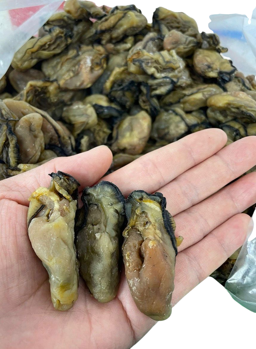 日本蠔豉(M size/L size)