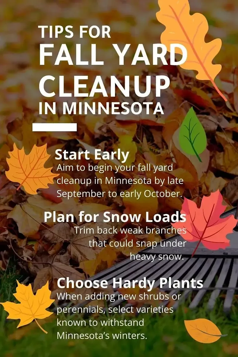 Fall yard cleanup tips in Minnesota with orange leaves and white text on a dark background