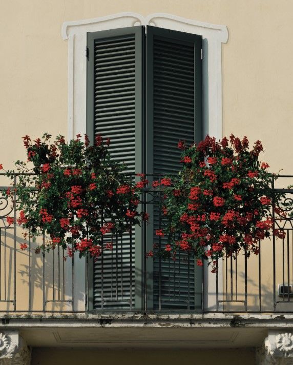 Balcone con persiane nere, traboccante di fiori rossi; edificio color crema.