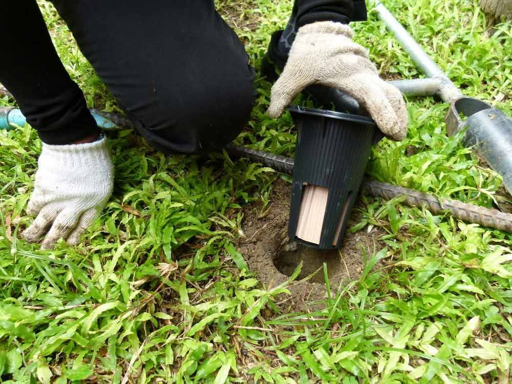 A Person is Digging a Hole in the Grass With a Shovel — City Coast Pest Solutions In Wollongong, NSW