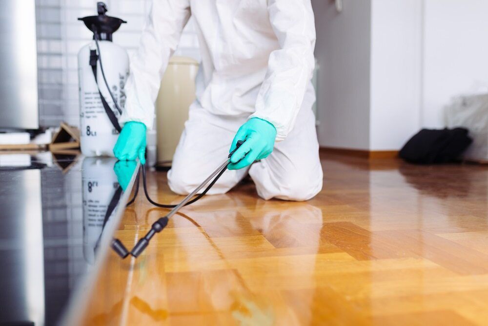 A Man in a White Suit and Green Gloves is Spraying a Wooden Floor — City Coast Pest Solutions In Wollongong, NSW
