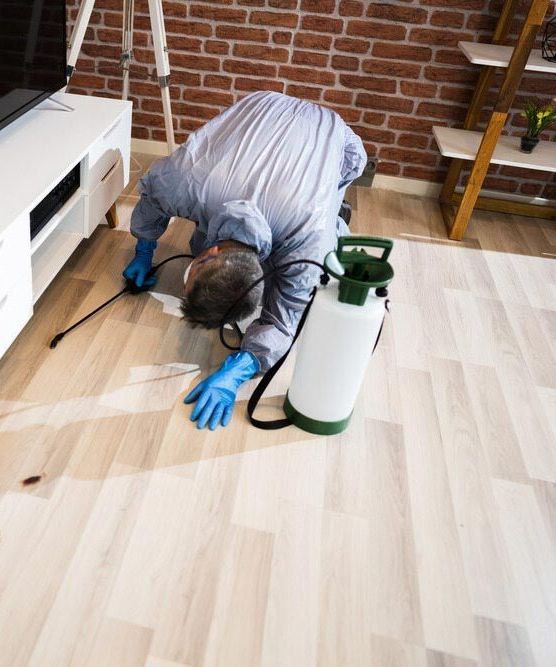 A Man is Kneeling on the Floor in a Living Room With a Spray Bottle — City Coast Pest Solutions In Wollongong, NSW