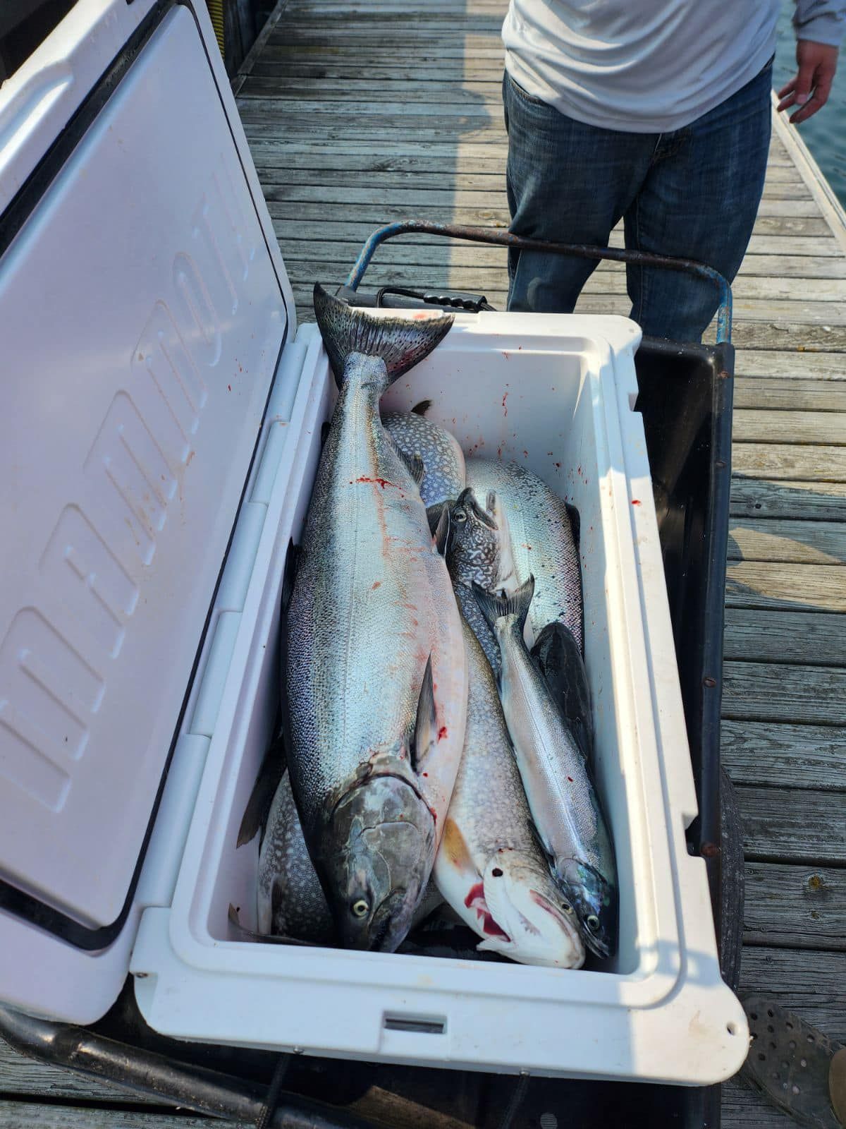 We provide a fishing experience that will fill coolers with trout and salmon. 