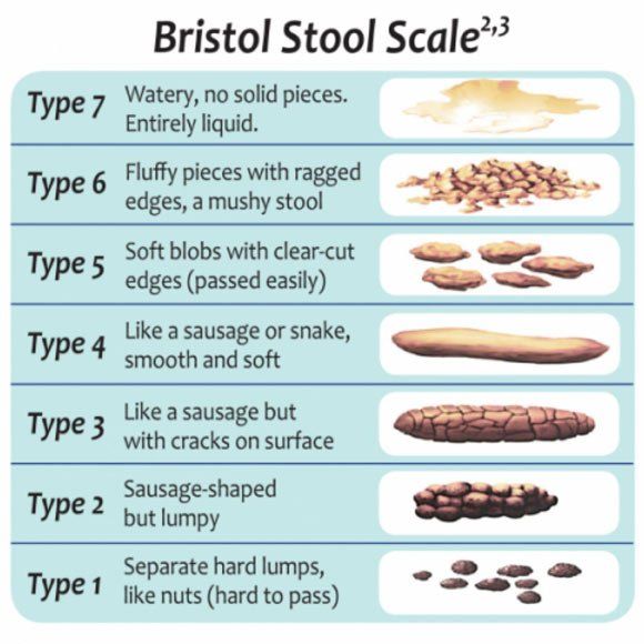 Do you sit on the loo for more than 5 minutes?! (Don't read whilst eating!)