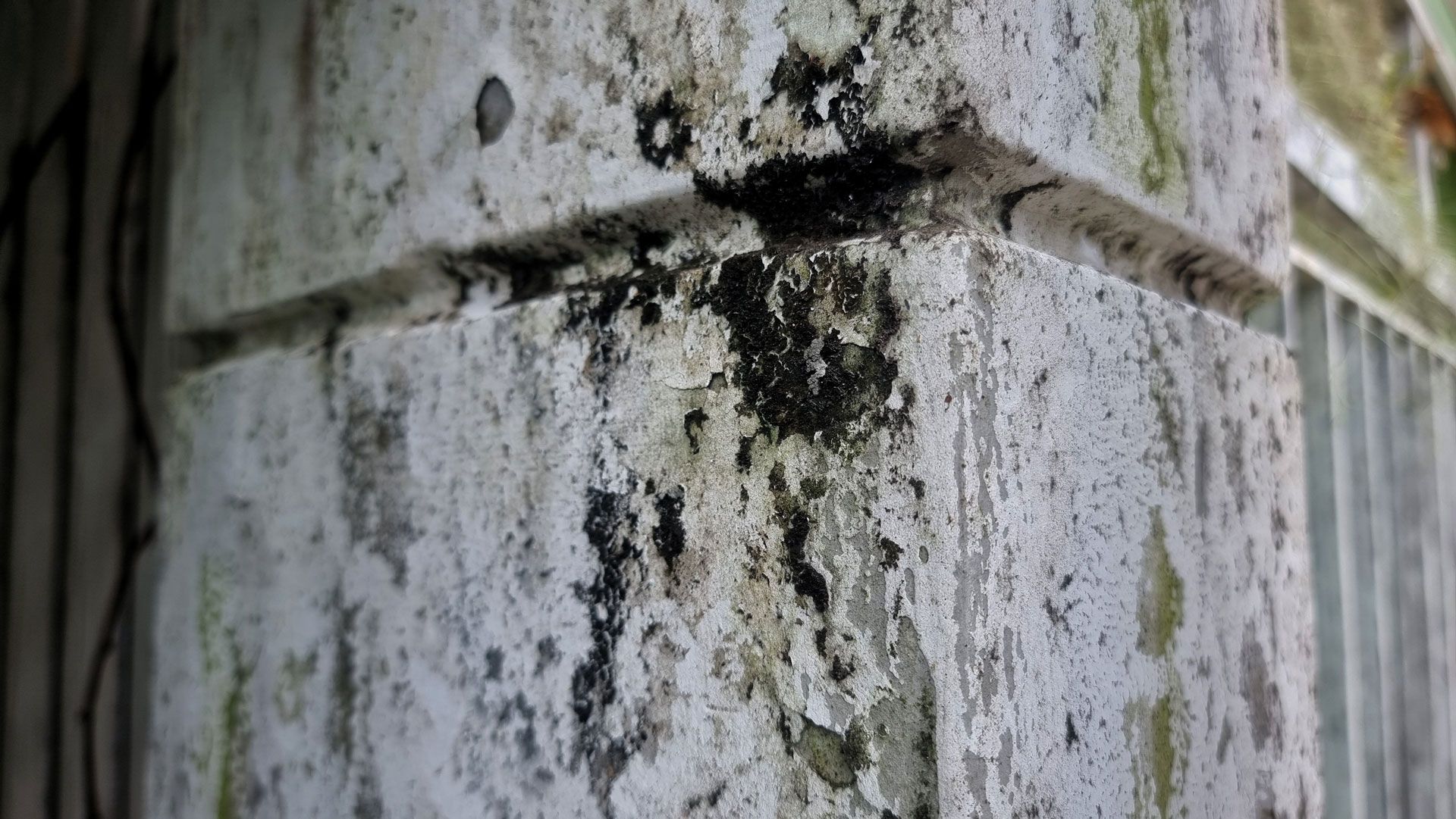 A close up of a corner of a building with a lot of mold on it.