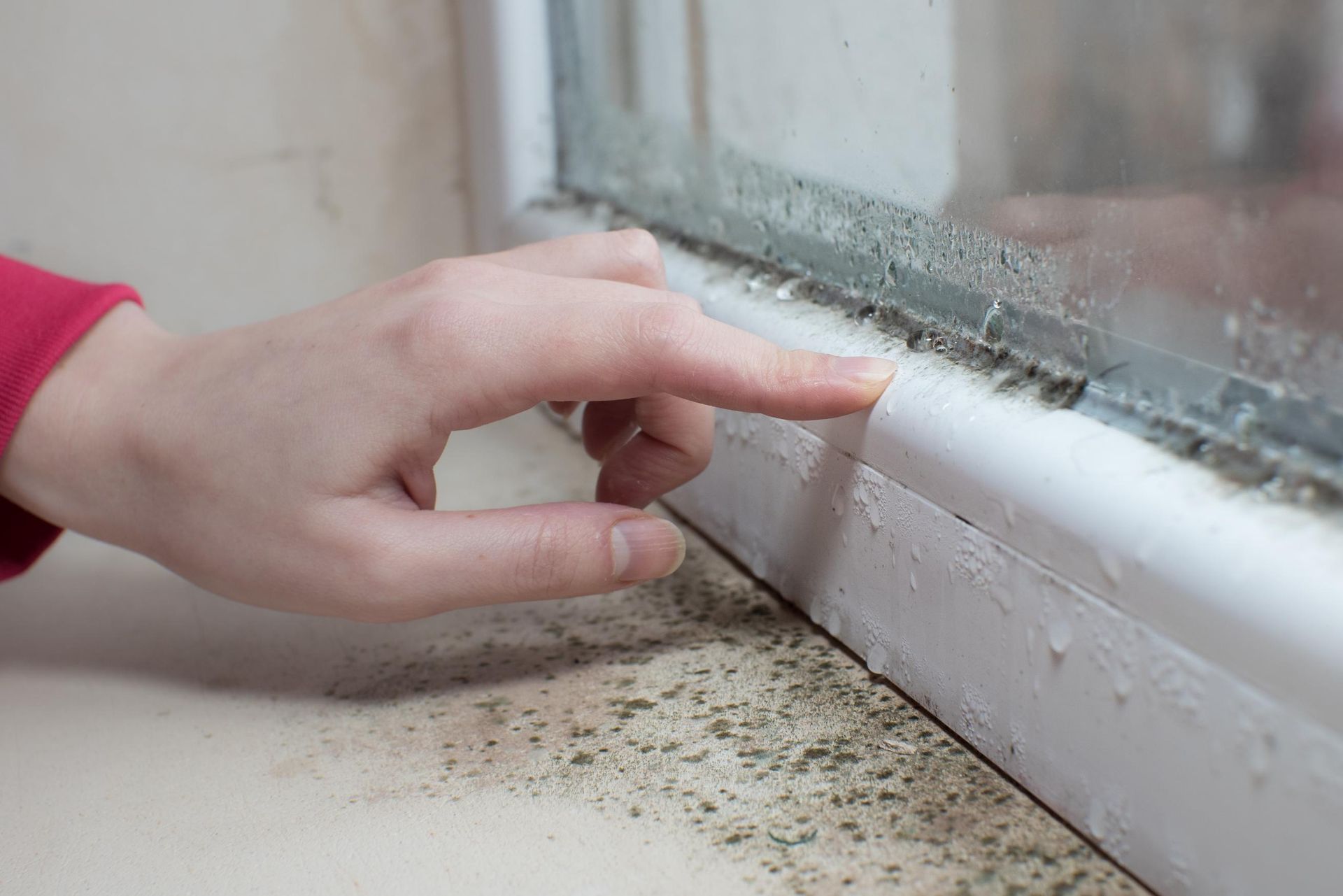 A person is pointing at a window sill with mold on it.