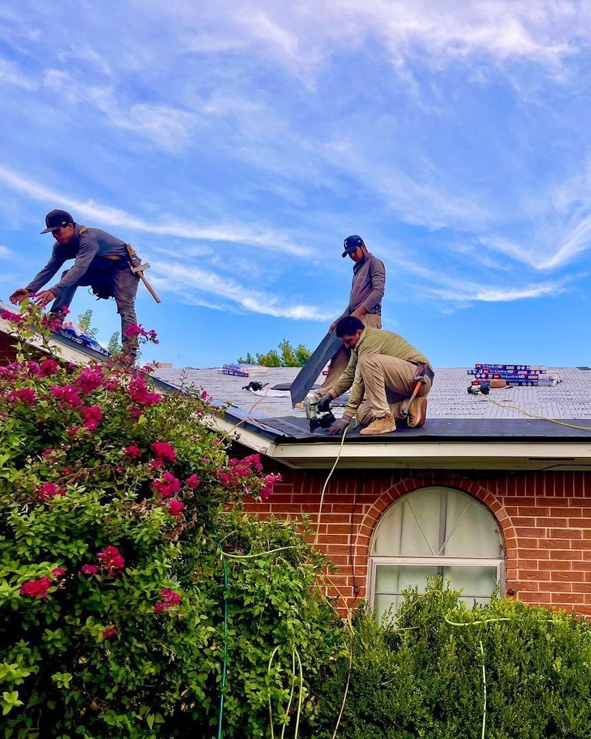 Roofers working on a house roof on a sunny day. They are wearing work clothes.  Pink flowers in foreground.