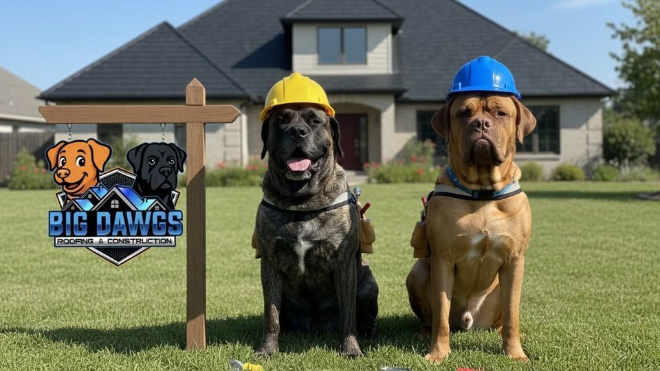 Two dogs in hard hats sit on a lawn in front of a house, Big Dawgs logo on a sign.