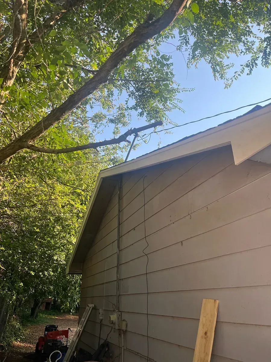 Exterior of a light-colored building with a roof, a tree branch overhead, and a ladder.
