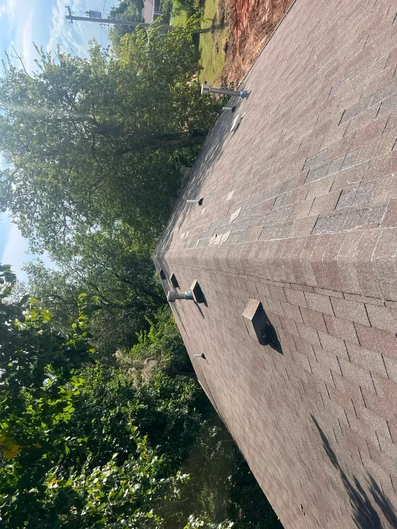 Brick roof extending into the distance, with trees and sky in the background.