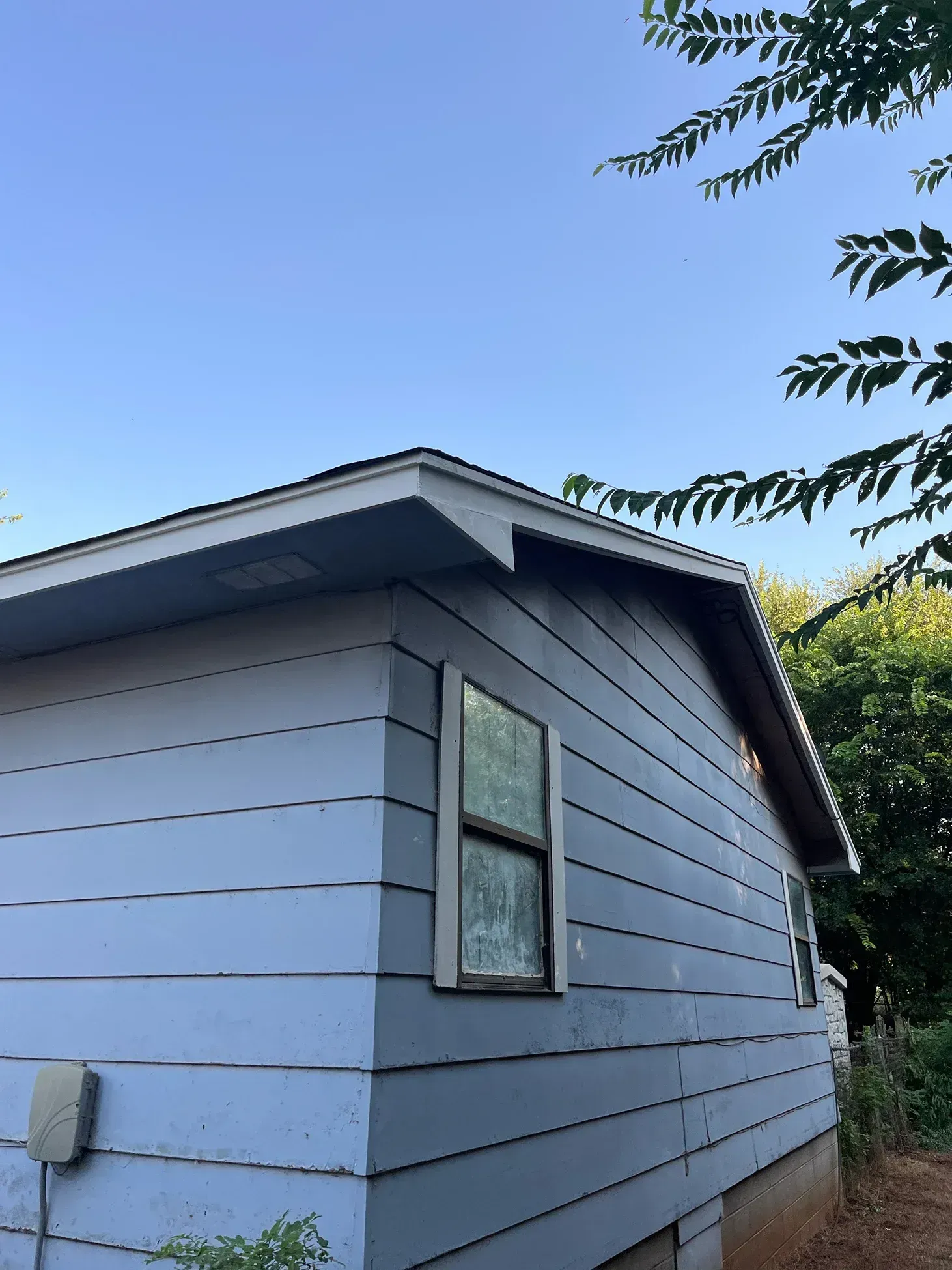 Blue-sided house with a window, set against a blue sky, and foliage at the top right.