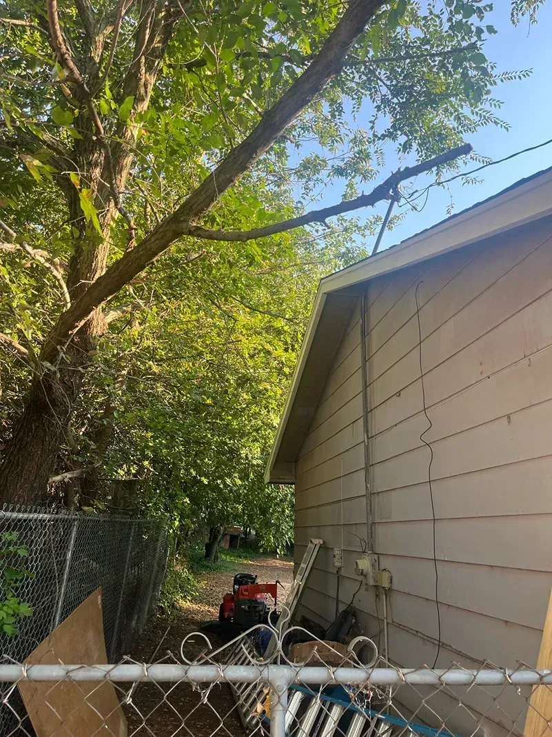 Side of beige building with a tree on the left and a chain link fence in the foreground.